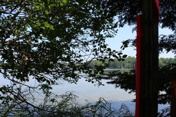 Forest Ln #3, Pickerel, WI 54465