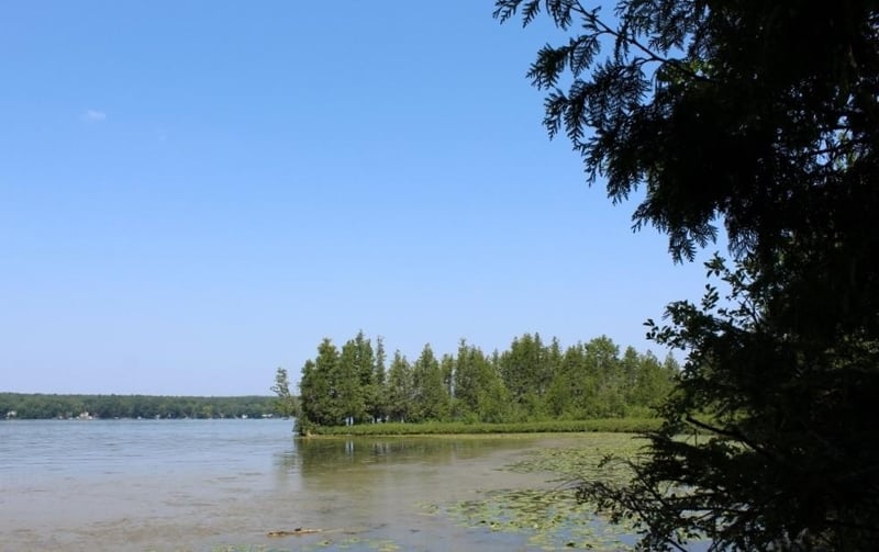 Forest Ln #4, Pickerel, WI 54465