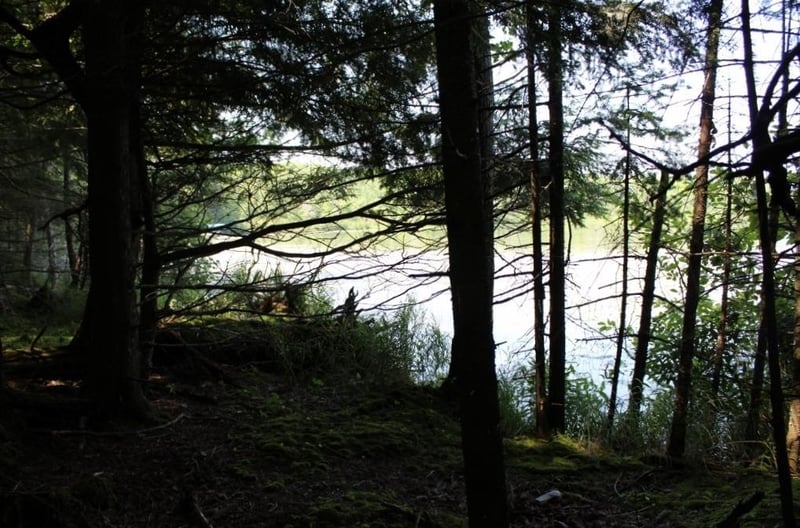 Forest Ln #4, Pickerel, WI 54465