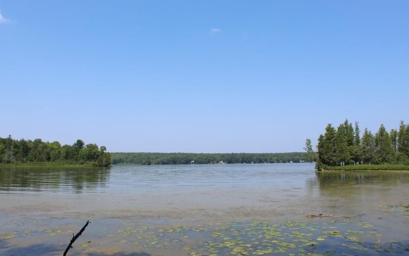 Forest Ln #4, Pickerel, WI 54465