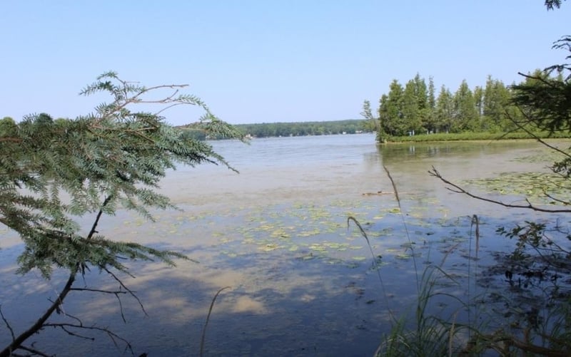 Forest Ln #4, Pickerel, WI 54465