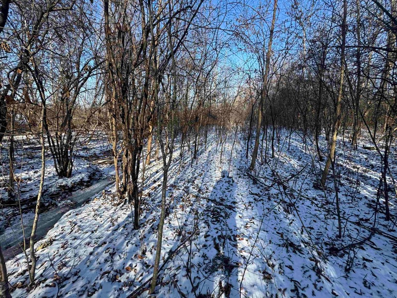 1911 Cottontail Dr, Oshkosh, WI 54904