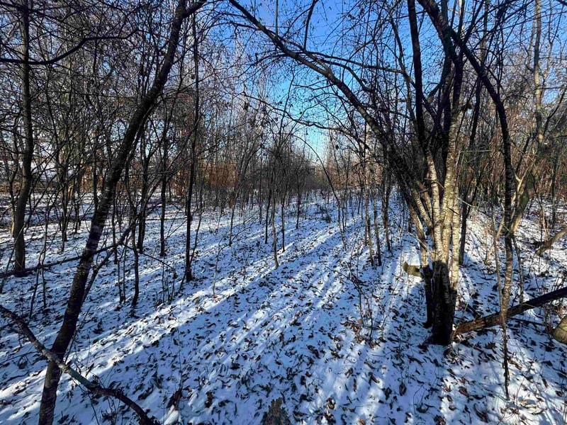 1911 Cottontail Dr, Oshkosh, WI 54904