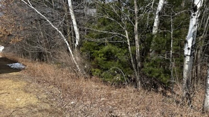 Green Bay St, Shawano, WI 54166