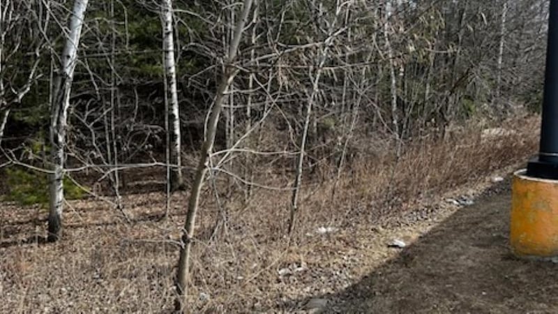 Green Bay St, Shawano, WI 54166