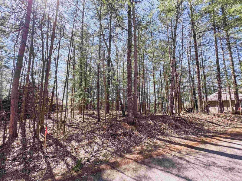 Wheeler Ln, Lakewood, WI 54138