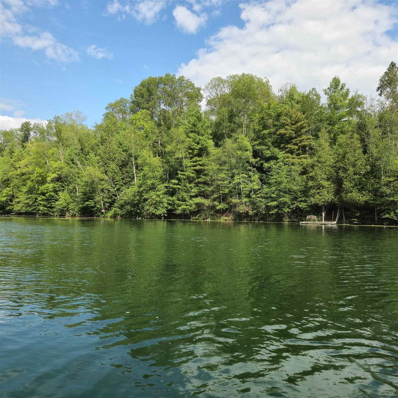 19D Crestview Dr #19D, Mountain, WI 54149