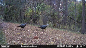 2780 Humboldt Rd, Green Bay, WI 54311