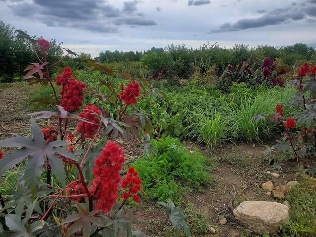 4160 Jackson St, Oshkosh, WI 54901