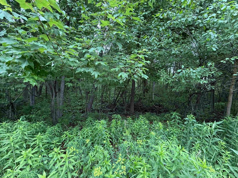 Acorn Trl #8, Oconto, WI 54153