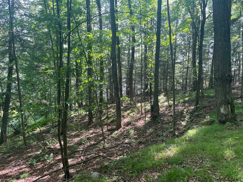 17197 Patti Ln, Townsend, WI 54175