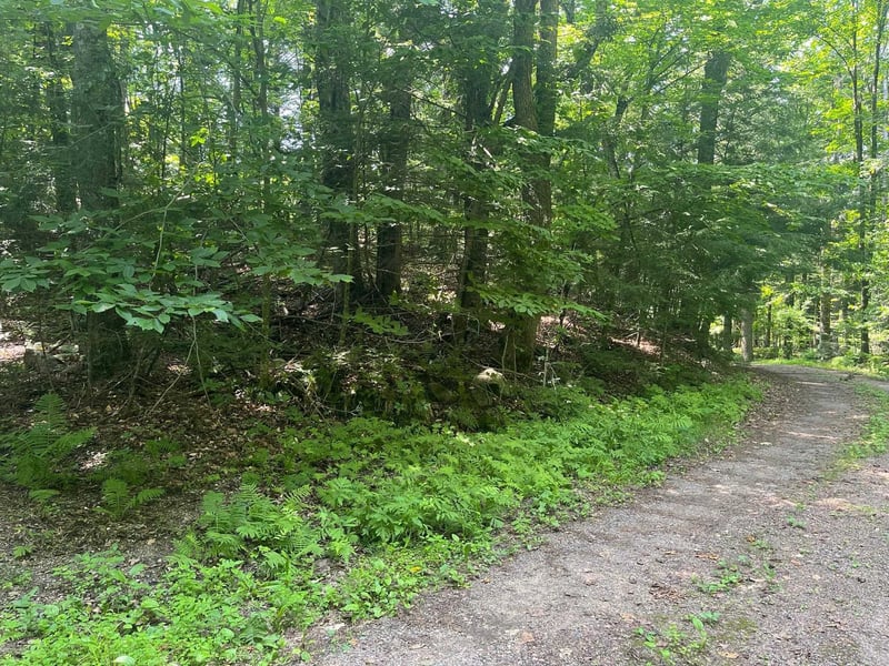17197 Patti Ln, Townsend, WI 54175