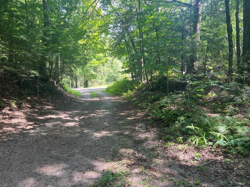 17197 Patti Ln, Townsend, WI 54175