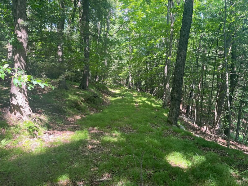 17197 Patti Ln, Townsend, WI 54175