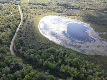 Thelen Rd #1, Mountain, WI 54149