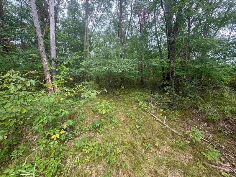 Knollwood Ct #75, Shawano, WI 54166
