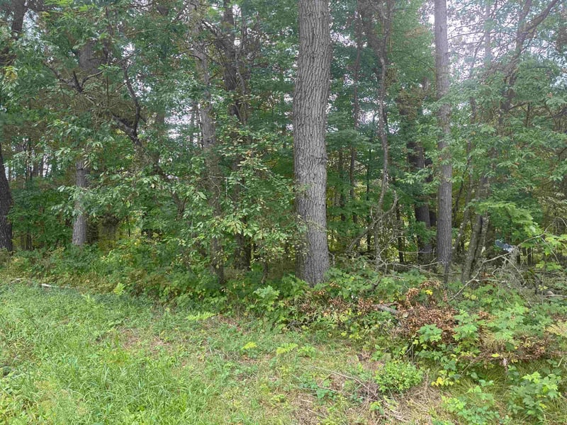 Knollwood Ct #75, Shawano, WI 54166
