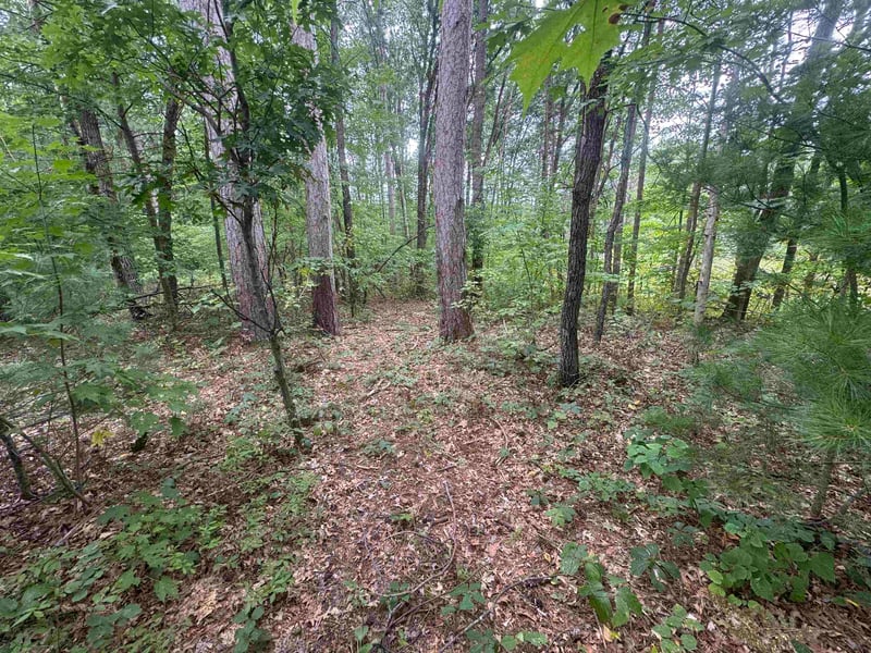 Knollwood Ct #75, Shawano, WI 54166