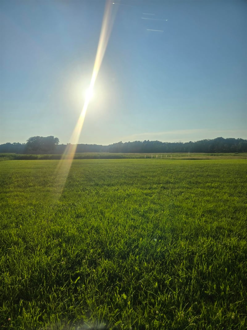 Velp Ave #2, Suamico, WI 54173