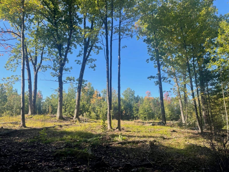 Angel Crest Ln, Lakewood, WI 54138
