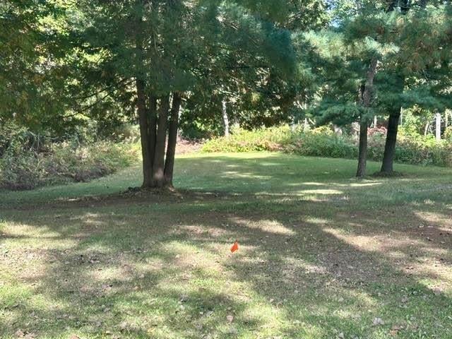 White Potato Lake Rd #11, Pound, WI 54161