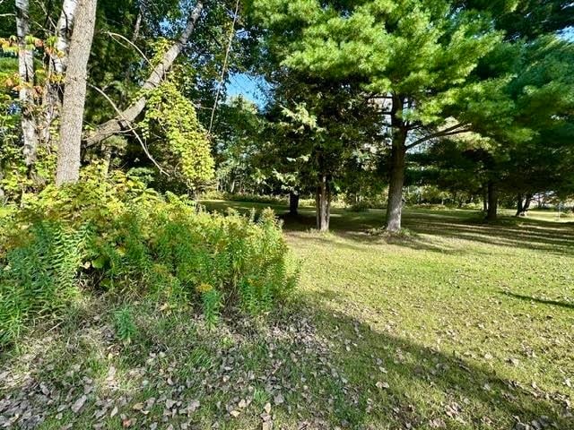White Potato Lake Rd #11, Pound, WI 54161