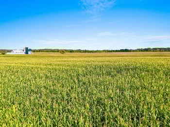 Dollar Rd, Green Bay, WI 54311