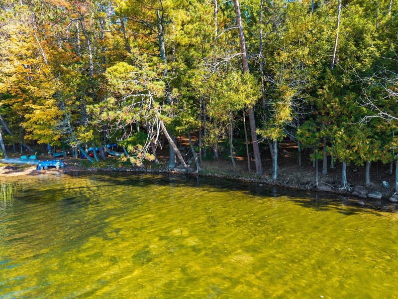 17799 Wheeler Lake Ln, Lakewood, WI 54138