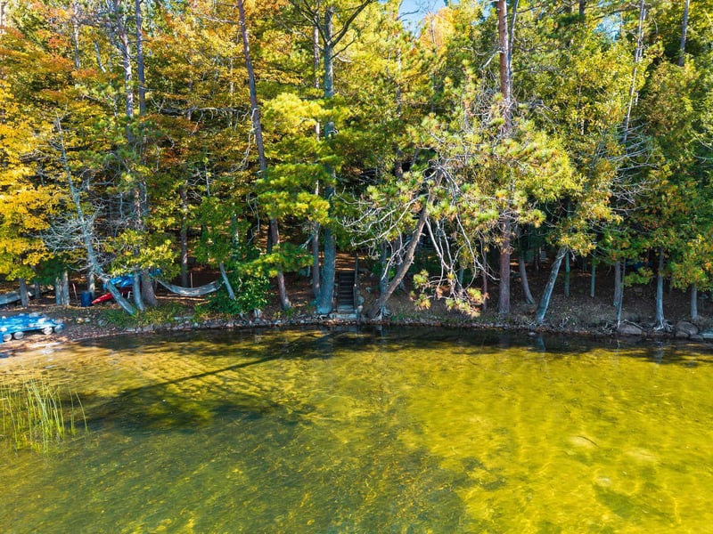 17799 Wheeler Lake Ln, Lakewood, WI 54138