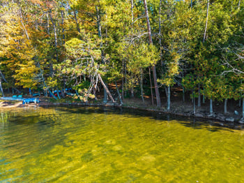 17799 Wheeler Lake Ln, Lakewood, WI 54138