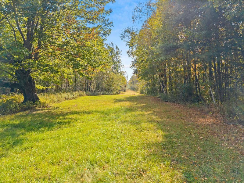 Cth D, Abrams, WI 54101
