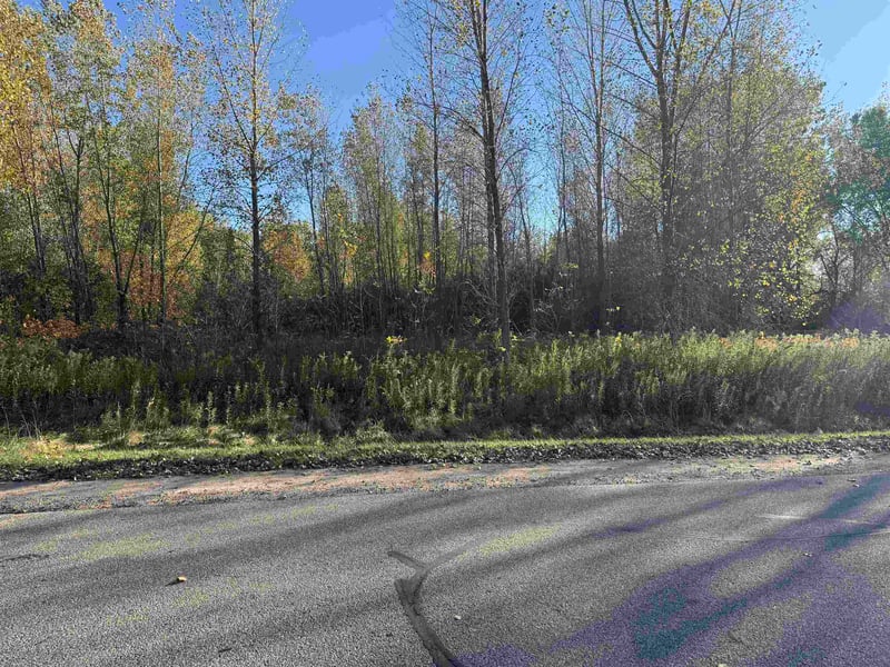 Willow Wood St #2, Shawano, WI 54929-0000