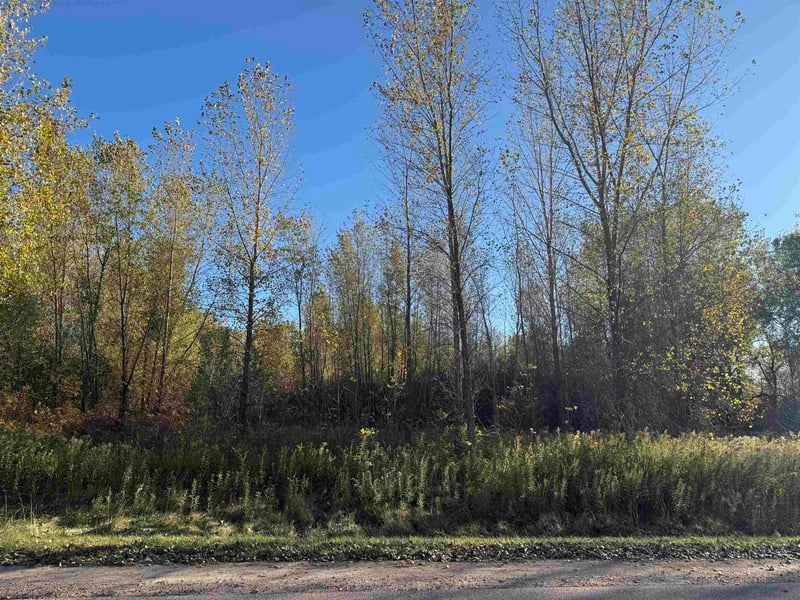 Willow Wood St #2, Shawano, WI 54929-0000