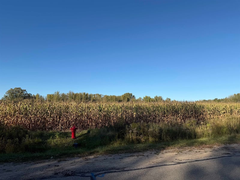 Willow Wood St #11, Shawano, WI 54929-0000
