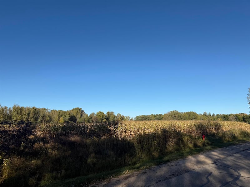 Willow Wood St #11, Shawano, WI 54929-0000