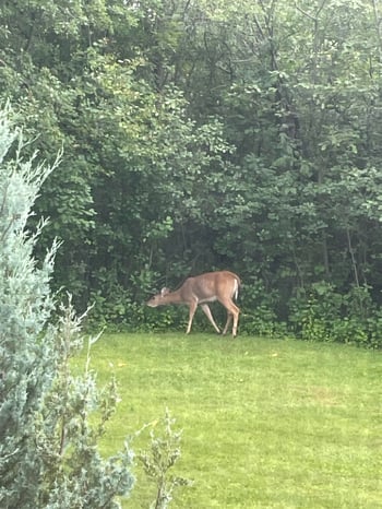 1940 Renaissance Ct, Green Bay, WI 54313-4347