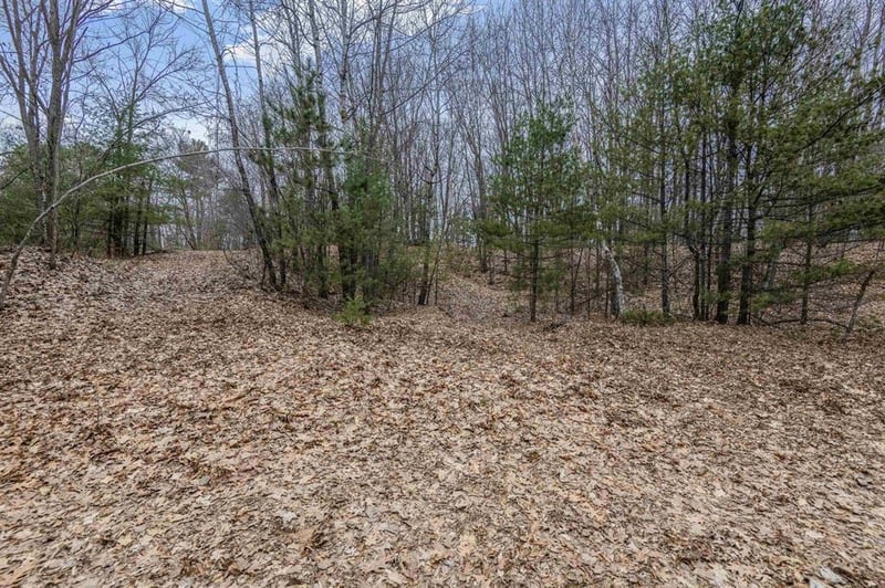 White Potato Lake Rd #3, Pound, WI 54161