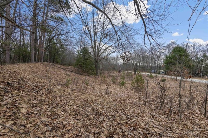 White Potato Lake Rd #4, Pound, WI 54161