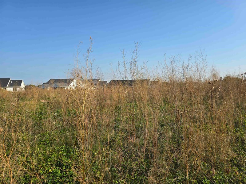 Crestfield Way #54, Greenville, WI 54942-0000