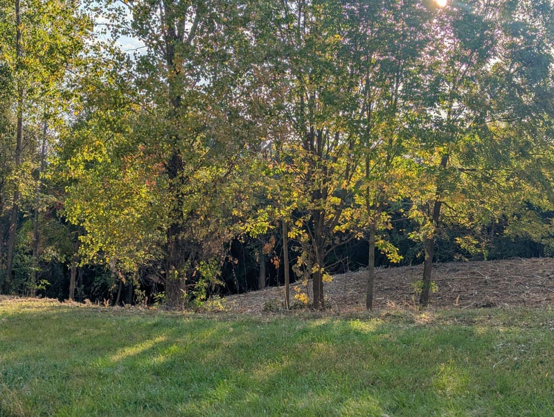 Incline Way, Appleton, WI 54913