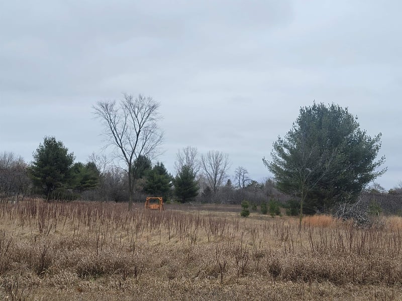 Sheridan St #3, Oconto Falls, WI 54154