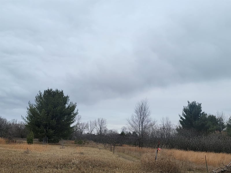 Sheridan St #2, Oconto Falls, WI 54154