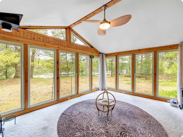 N7119 River Dr, Shawano, WI 54166-4224