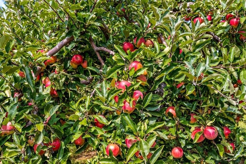 253 County Hwy Ce, Kaukauna, WI 54130