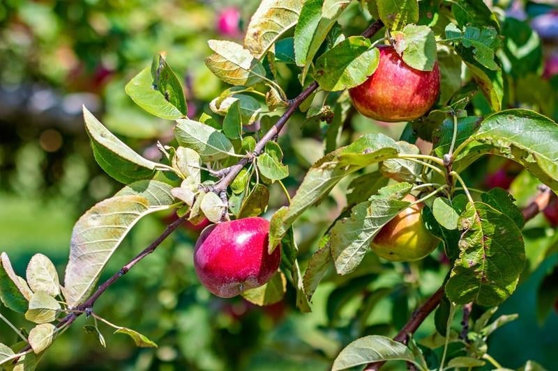 253 County Hwy Ce, Kaukauna, WI 54130