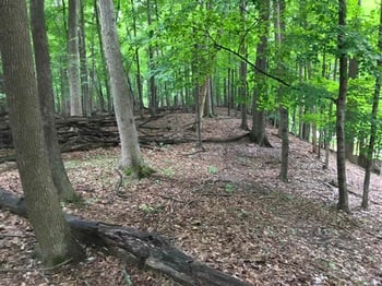 Edgewood Ln, Green Bay, WI 54302-4838