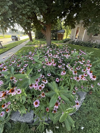 702 20th Ave, Oshkosh, WI 54902