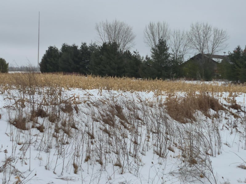 County Road Ee, Abrams, WI 54101