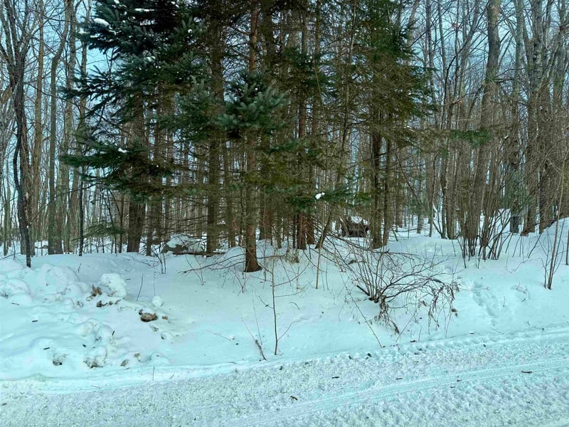 Jones Ave, Wabeno, WI 54566