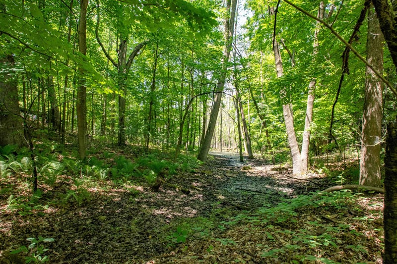 Hager Rd, Denmark, WI 54208